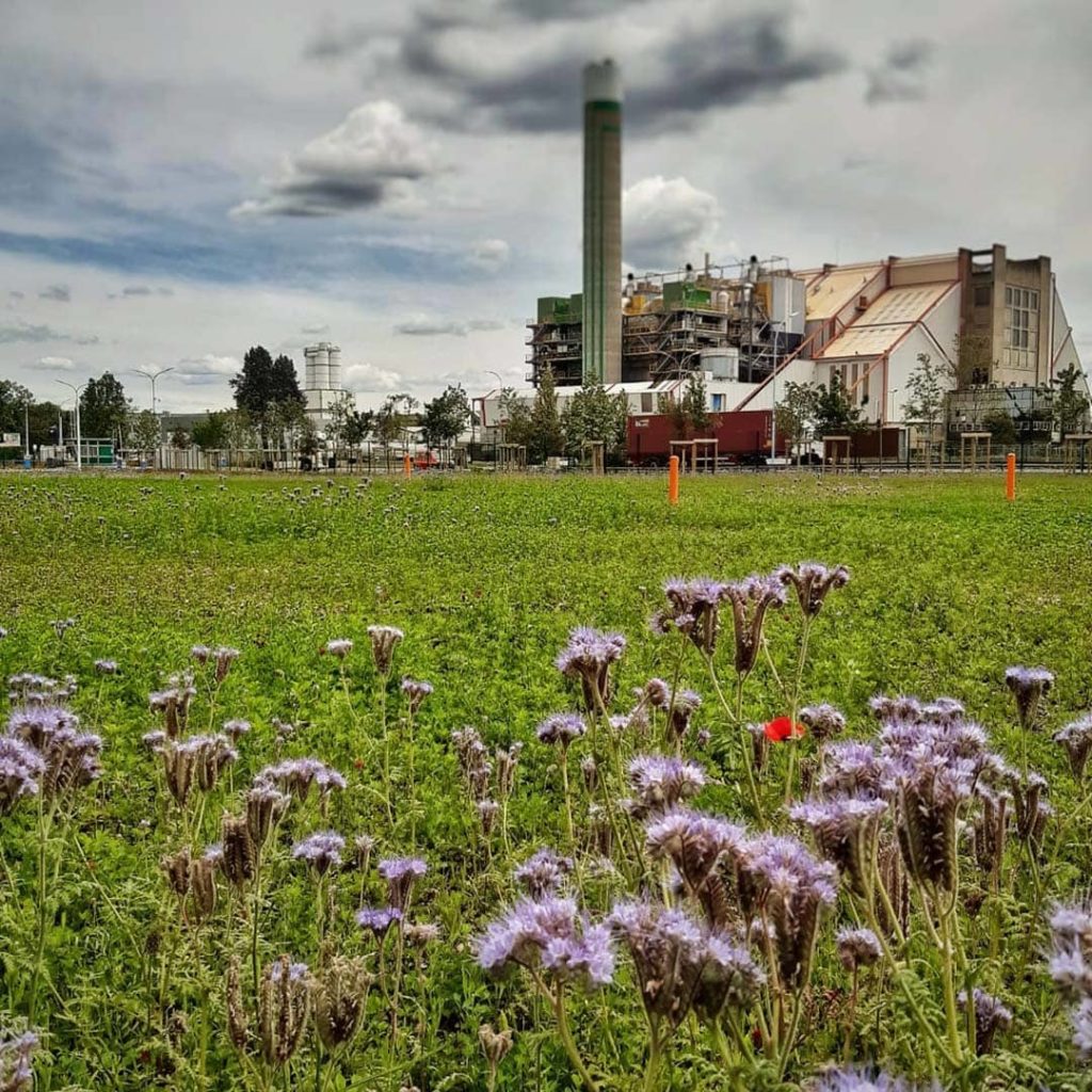 Hydroseeding : semis de surface sans couverture totale des semences.