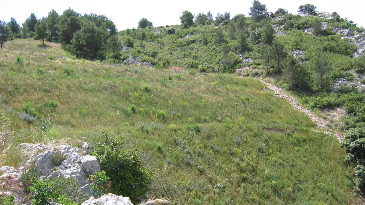 Hydromulching - Mines et carrières, friches industrielles, centres de stockages ISDND Hydromulching - Mines et carrières, friches industrielles, centres de stockages ISDND