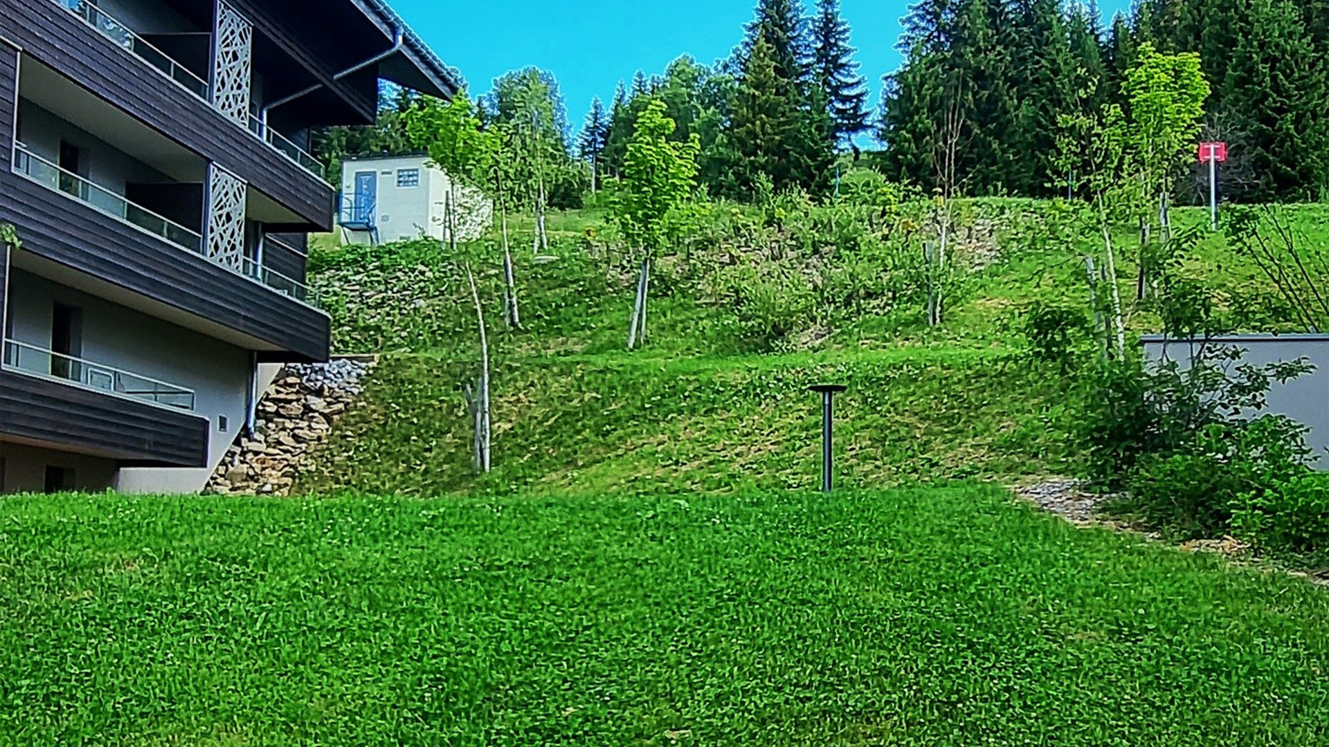 Vers un avenir plus durable grâce à l’hydromulching