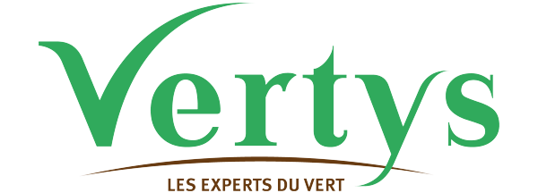 11-vertys