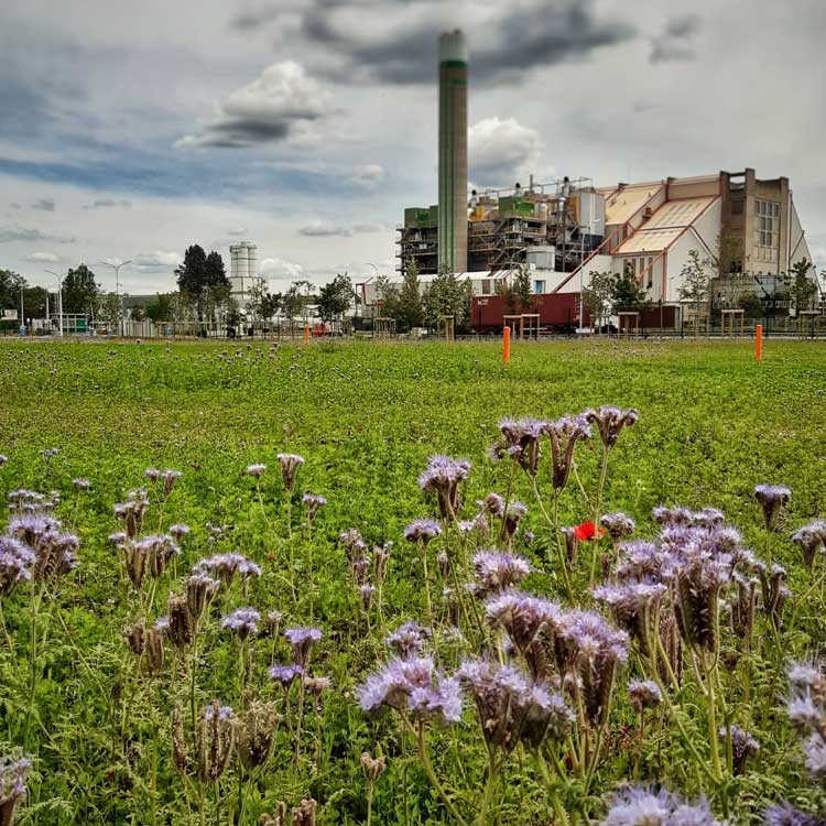 création d'ilots de fraicheur - eurotec